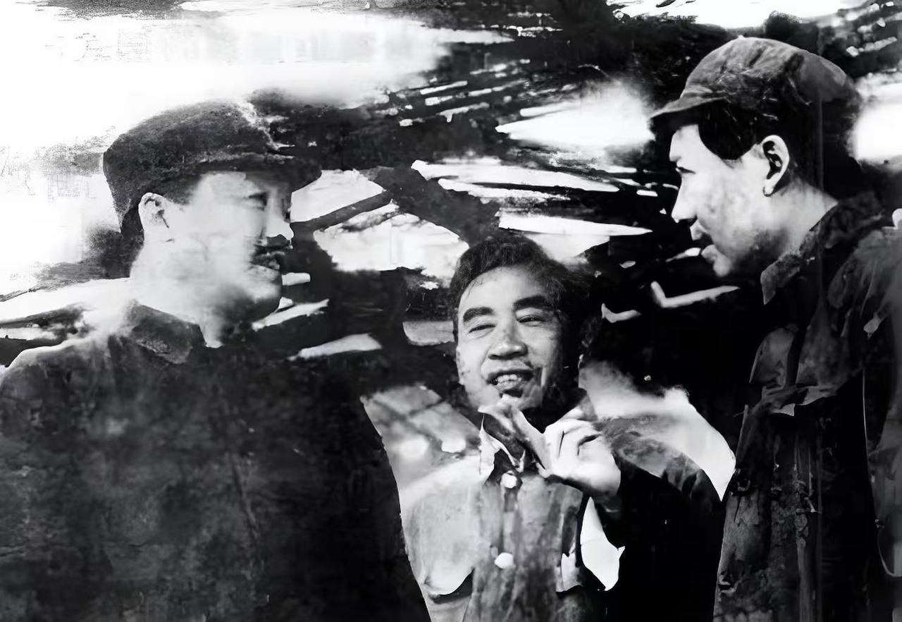 1975年，贺捷生致信毛主席请求寻贺龙遗骸，毛主席收到信后作出何种批示19