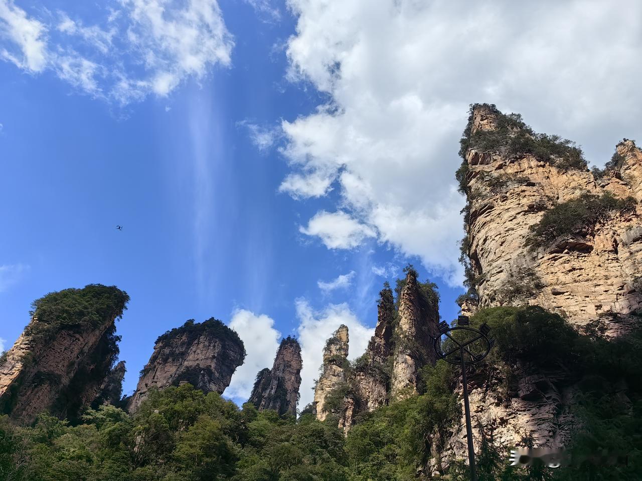 在张家界的奇峰之间，蓝天与白云相拥。陡峭的石峰如巨人般矗立，植被在岩间倔强生长，