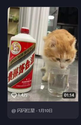 “猫咪也会喝酒？”广东，一男子在家喝酒时，家里猫咪趁他不注意，偷偷跳到桌上喝了一