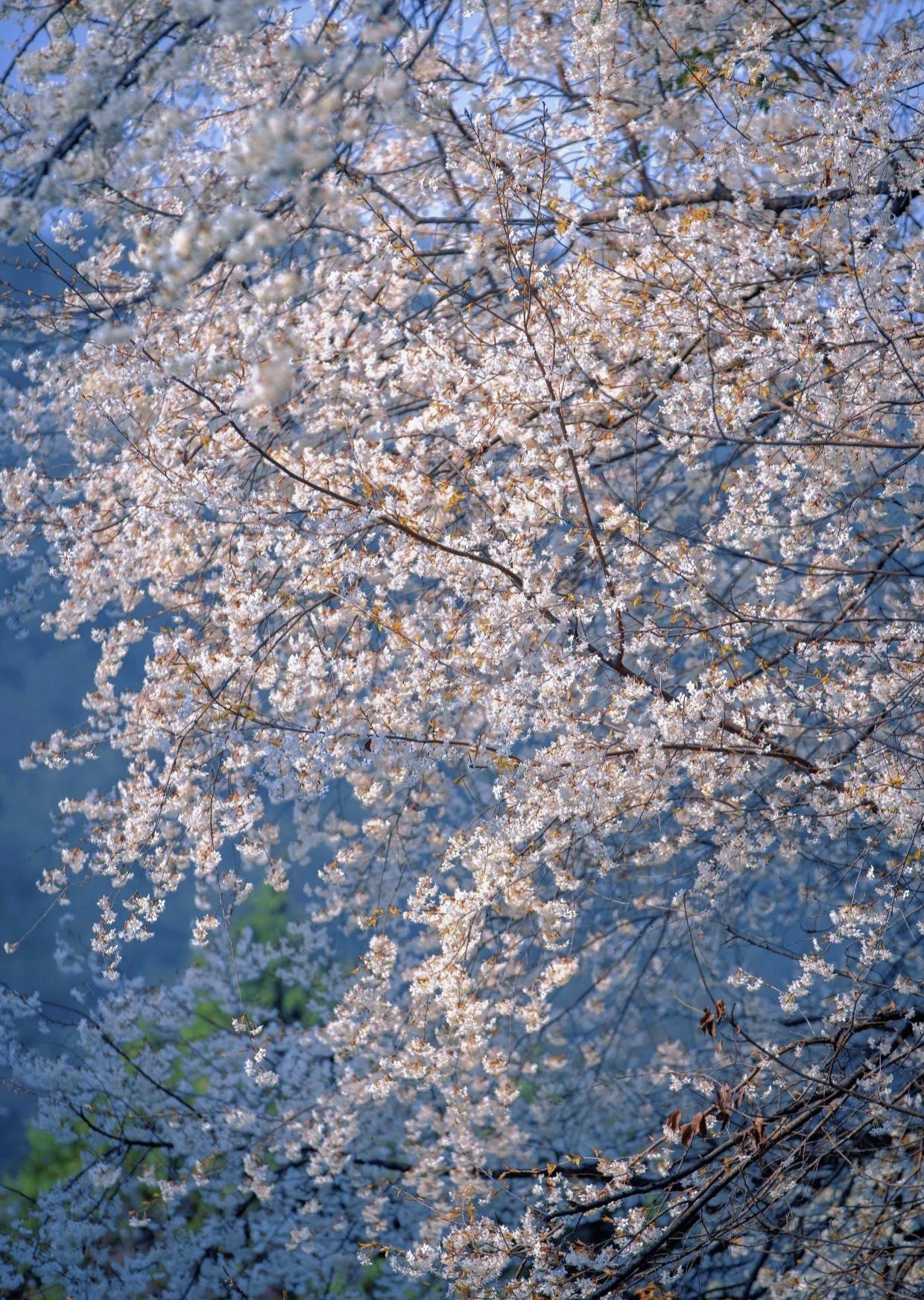 朋友离婚后，以为前夫会娶有钱漂亮的三姐，谁知他转头娶了普通公务员，她不解，前夫冷