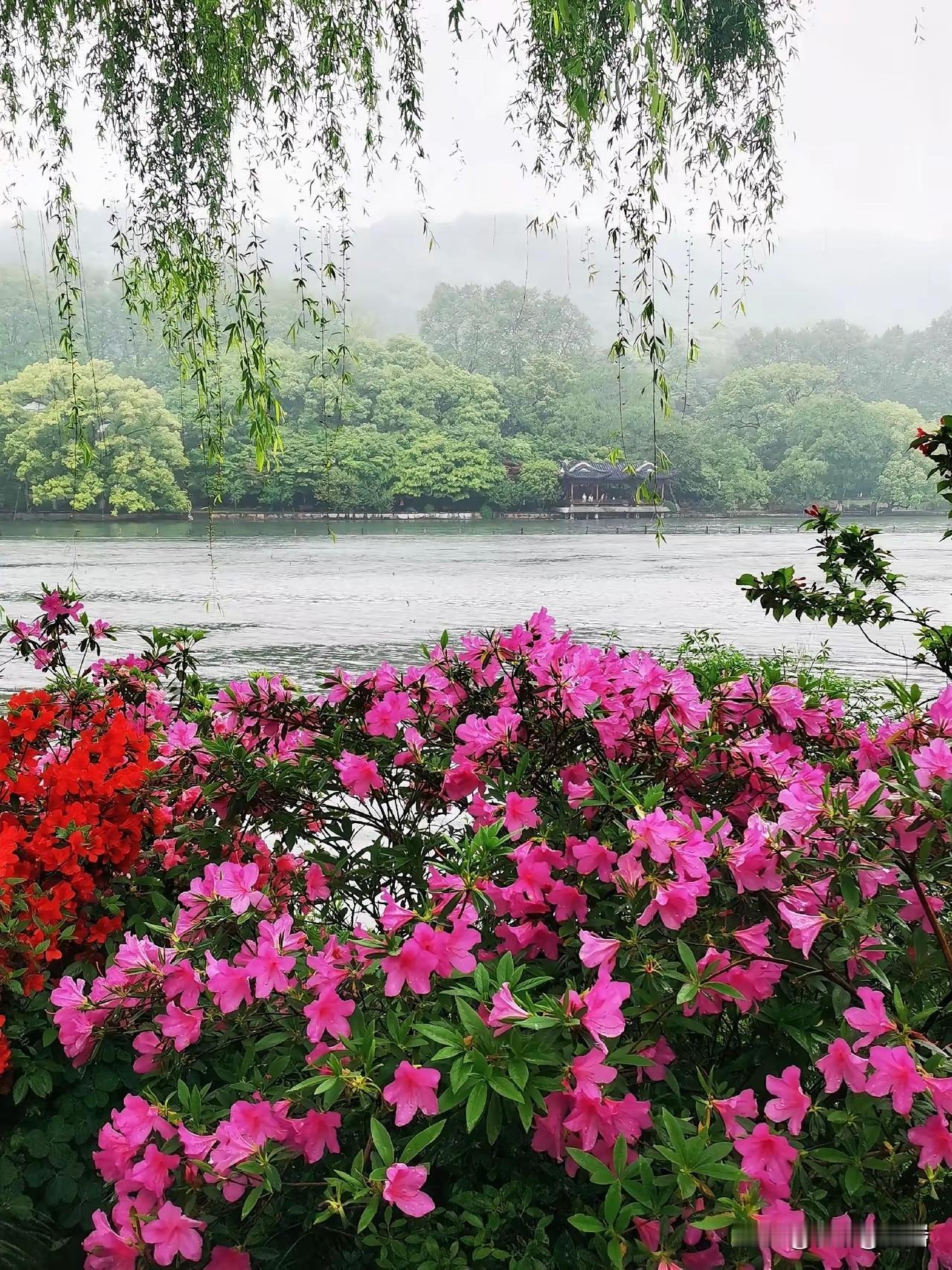 培养好好说话的习惯，避免不开心1. 好好说话，不是温柔，是能力与修养好好