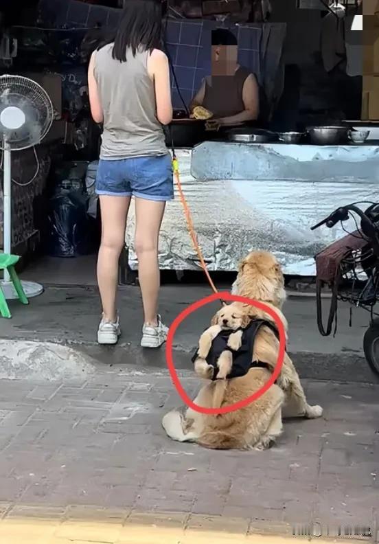 良心主人！