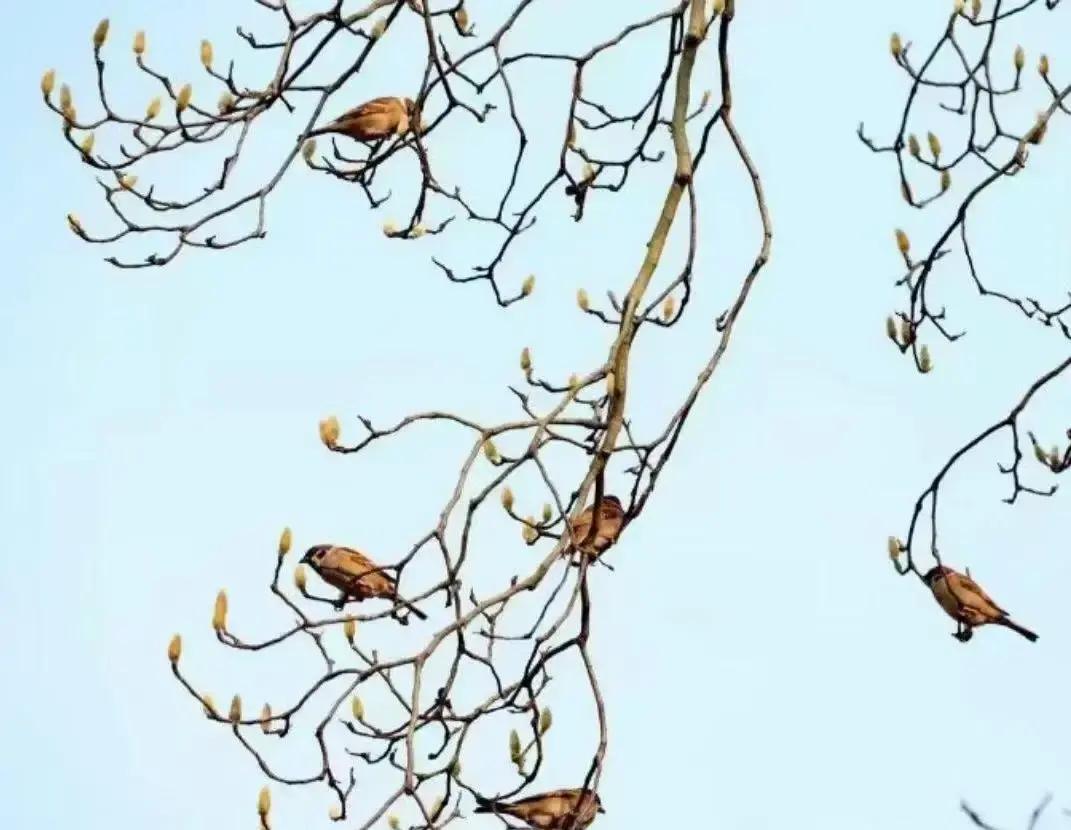 李银河那句“一个男人如果得不到这个女人的身体，就会觉得她高高在上”在网上疯传。