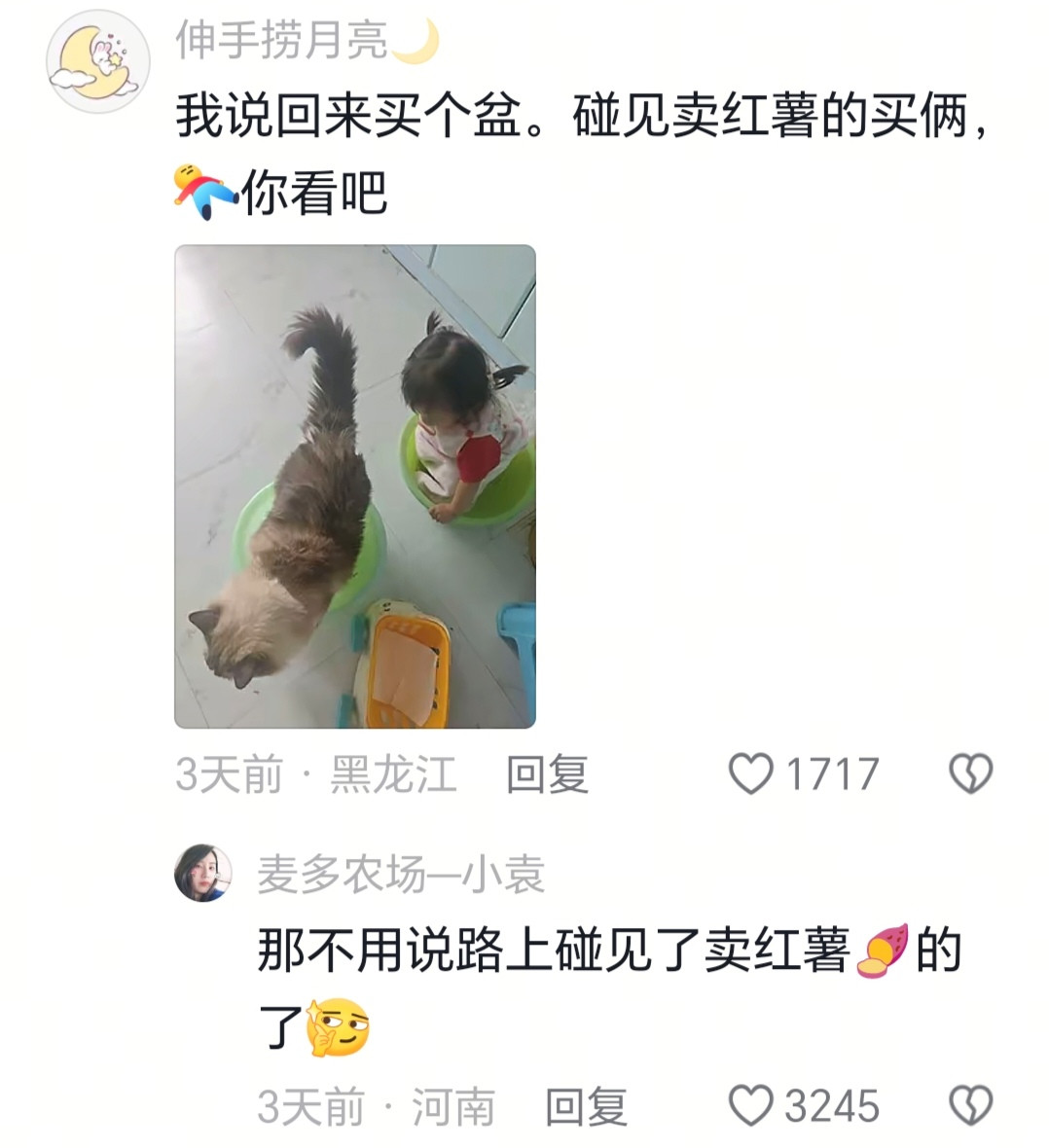 路上碰见卖红薯的了