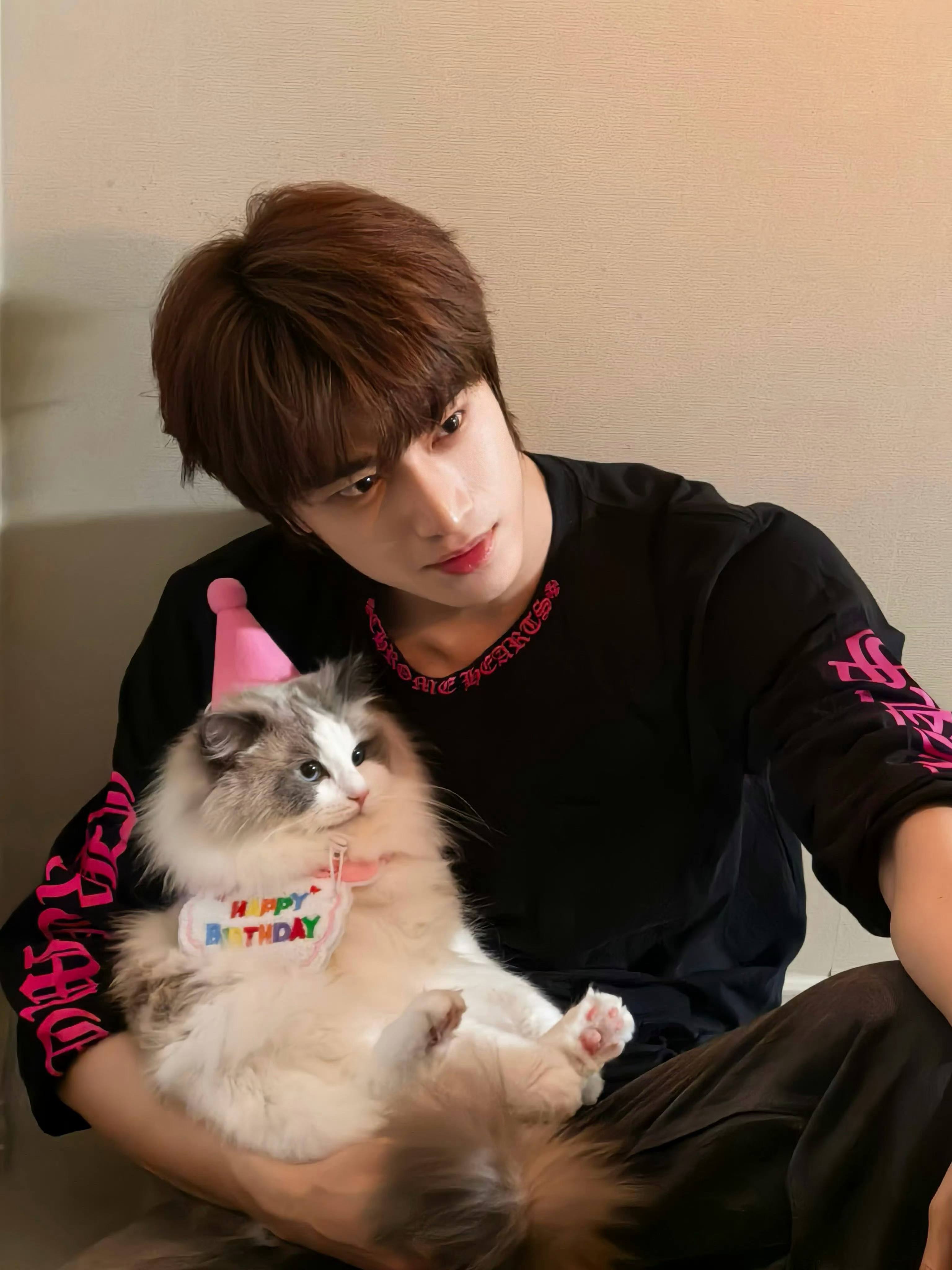 张康乐给猫咪过生日张康乐最新营业🈶对我的眼睛很好可爱猫咪和他帅气的主人📷顺毛