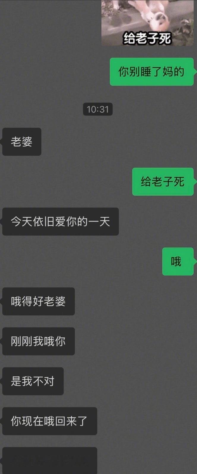 对抗路情侣恋爱日常