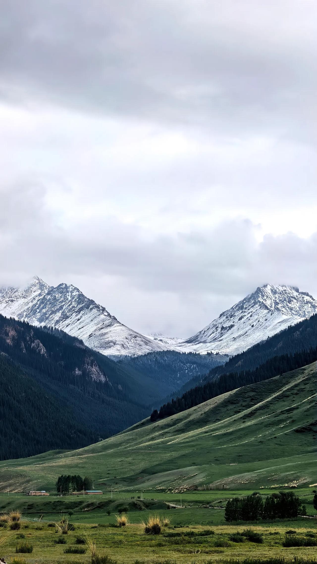 跟一位高中的老师聊天，他给我讲述了他们学校的一位领导。这位领导平时在开会的时候总