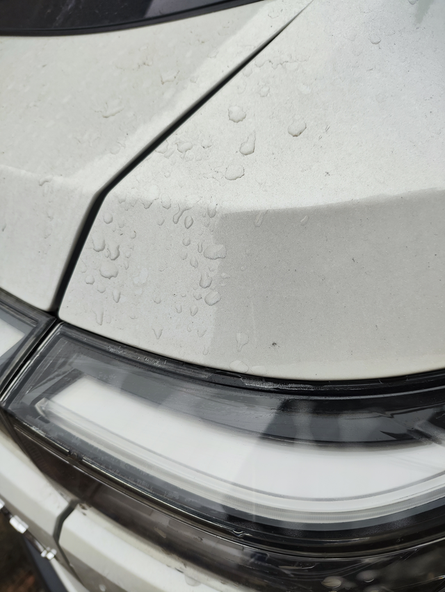 汽车尾灯异常23款xrv汽车尾灯有水汽,4儿子说正常，有同款的车友吗，出来支个