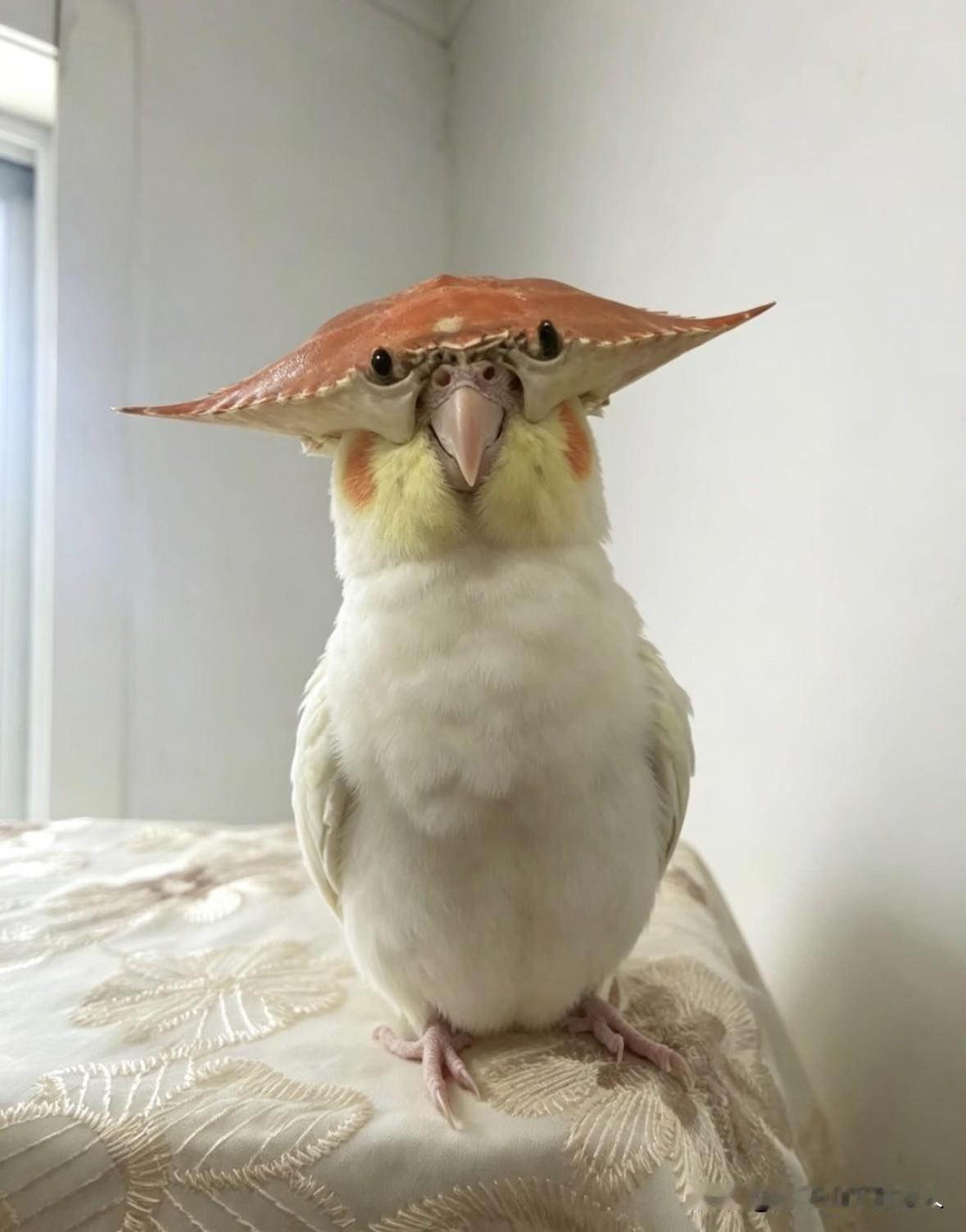 啥玩意？见过吗