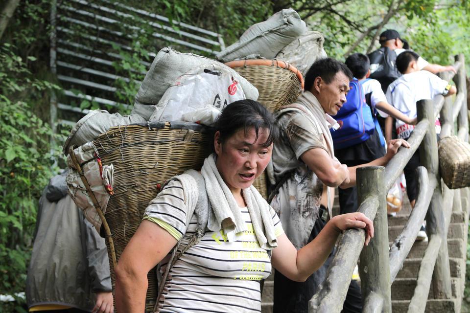 太好哭了！6月17日报道，洛阳老君山53岁的女挑山工说，这里住宿和索道都是免费的