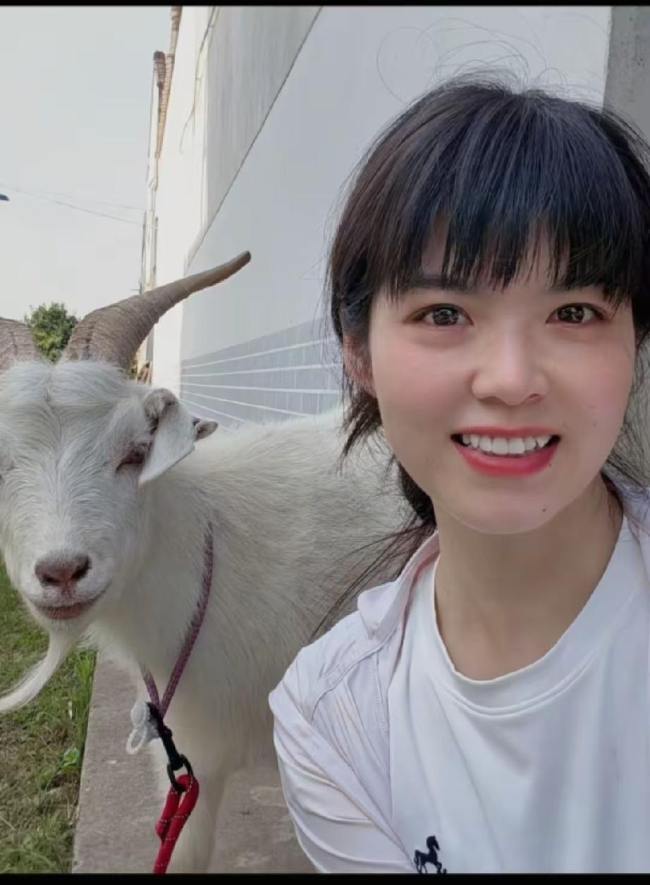 内蒙小羊和西安姑娘属于是双向奔赴，互相成就了！在把小羊带回西安后，姑娘现在已经直