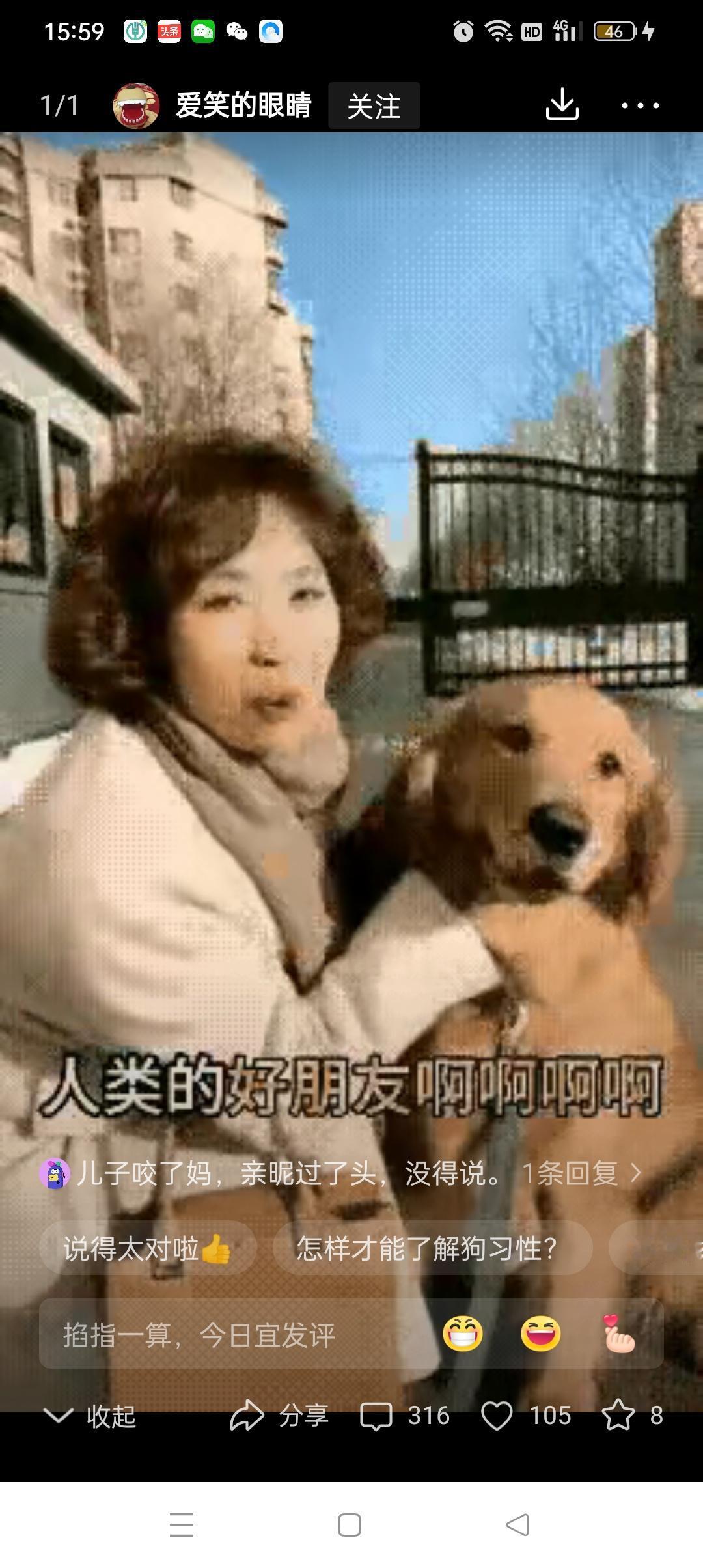 我“儿子”可是天使狗狗，它温顺的很。前脚说完，后脚狗狗就暴露出凶残本性，这是史上