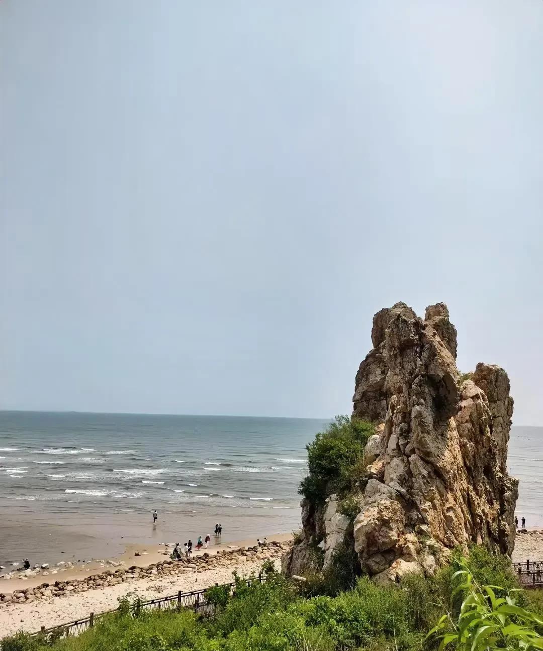 什么是