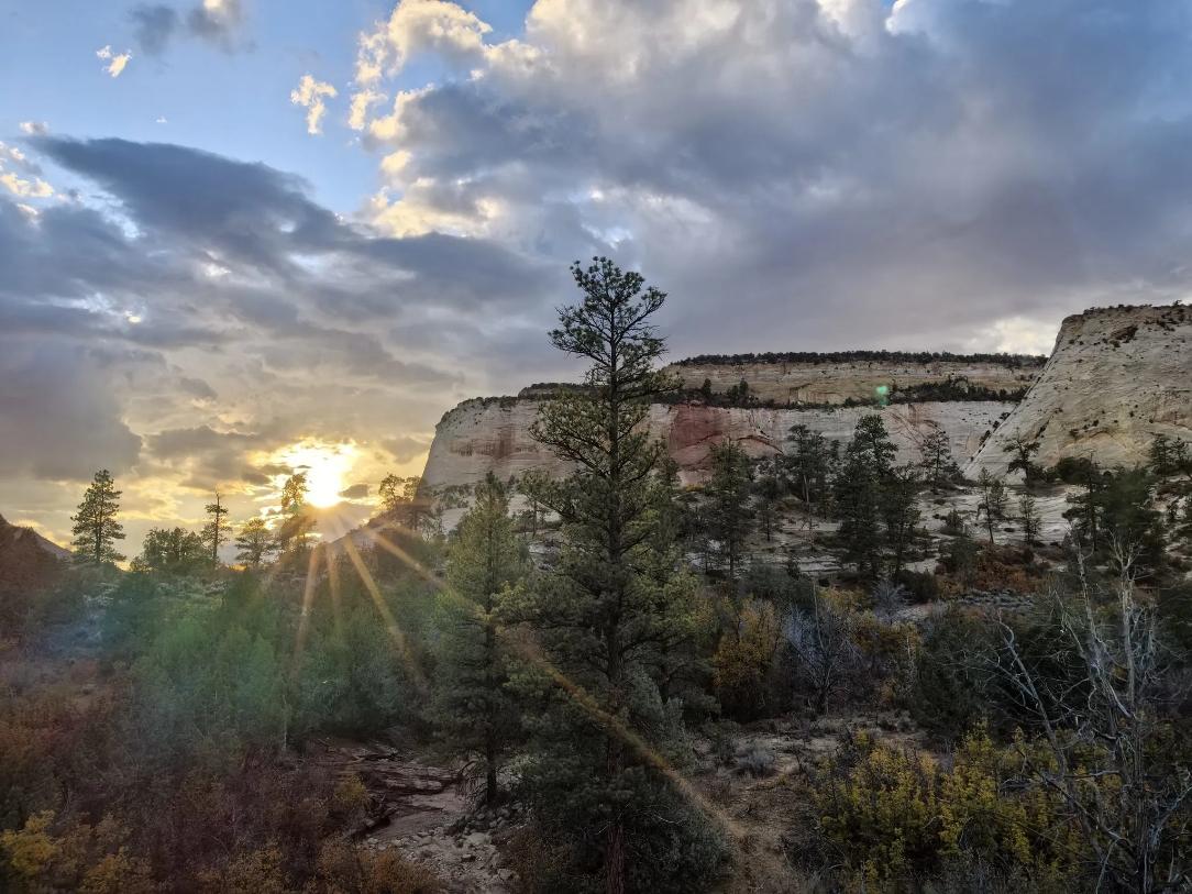 看到这首诗，真是感慨万千。日本在近代给中国带来的祸乱那是罄竹难书。从甲午战争到侵