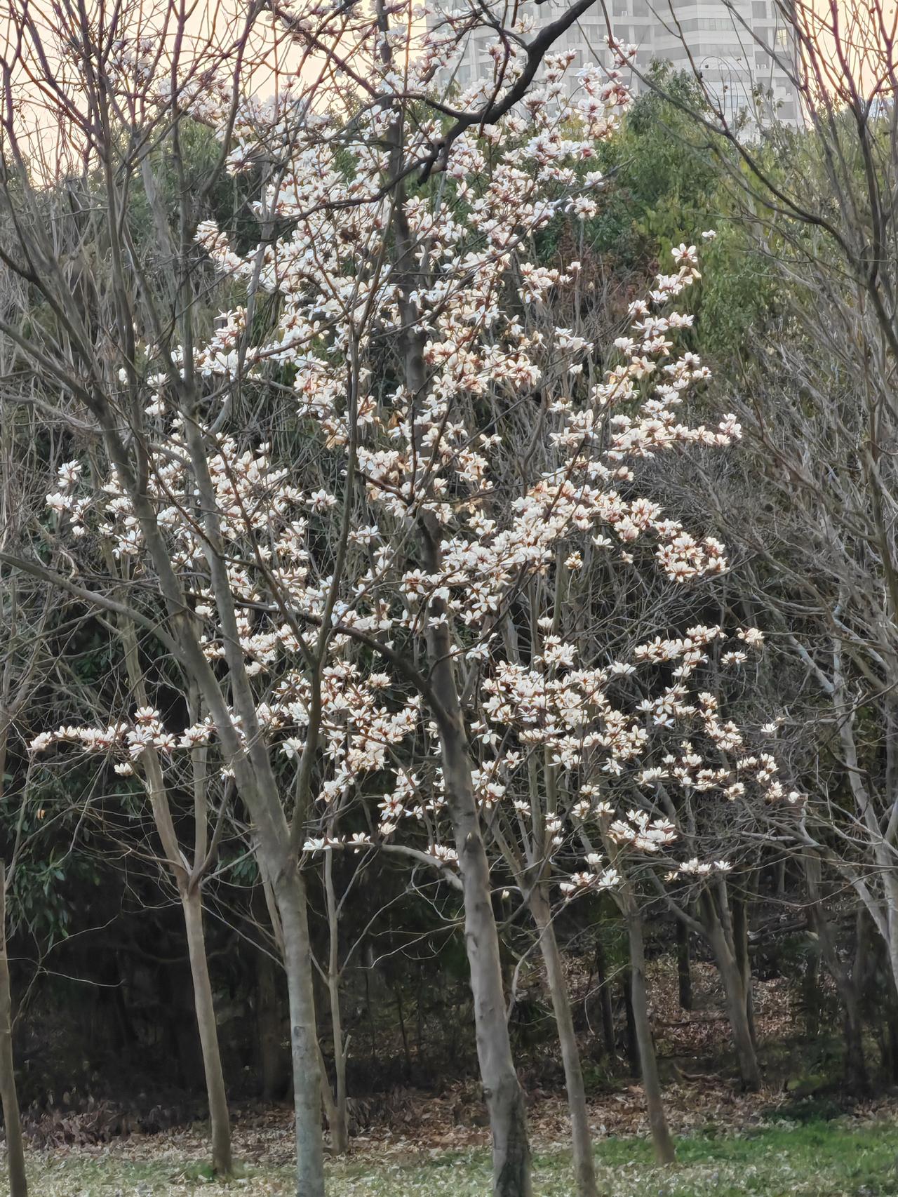 绝对不能外传的秘密。1.和任何人说话时都当对方在录音。2.当你不断批评孩子的