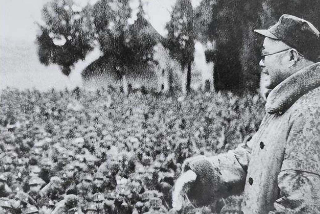 陈毅来到中原军区后，成为刘伯承的副手。可每次开会，刘伯承总是谦虚地说，请陈老总先