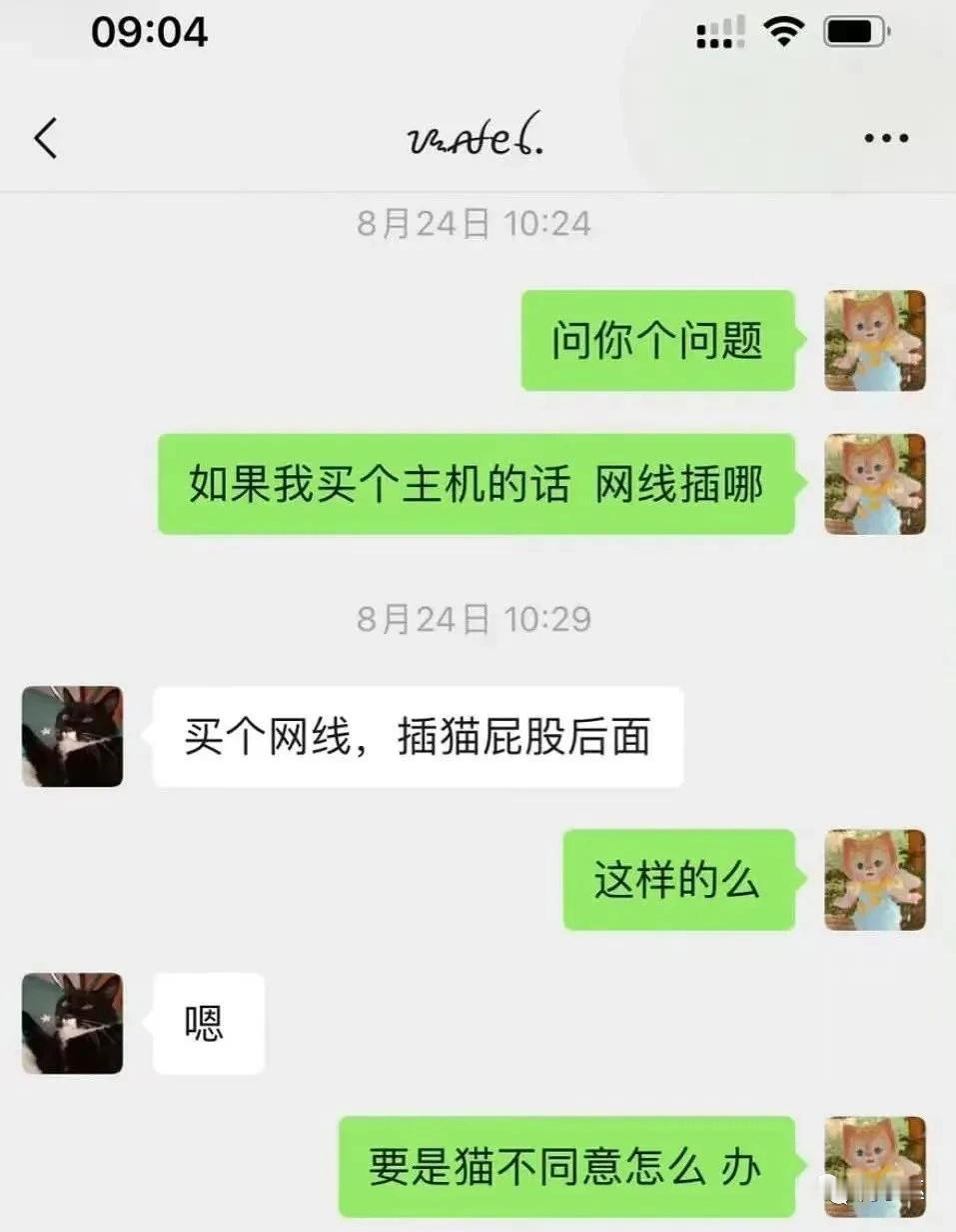 你小子自己说猫能同意吗？​​​