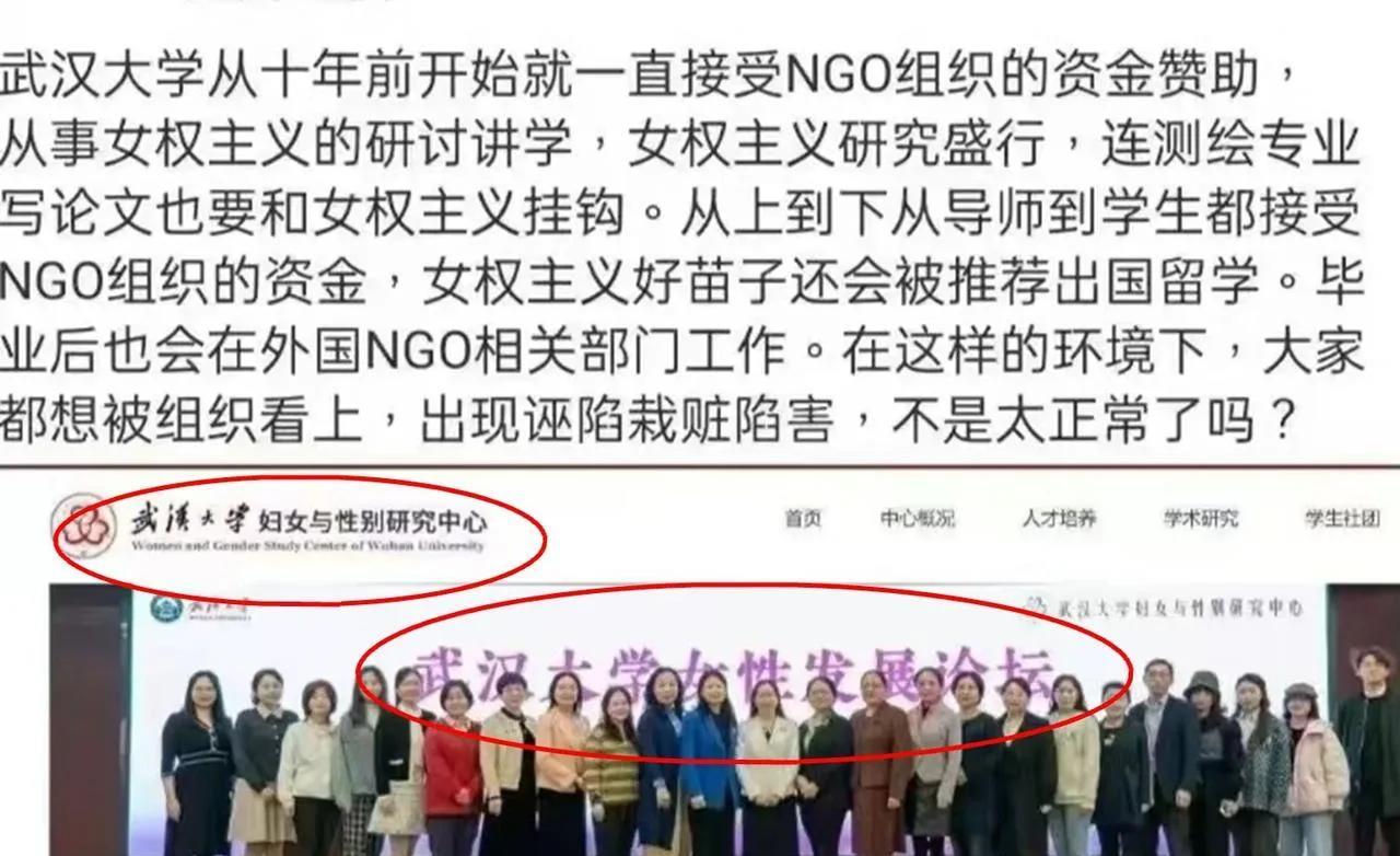 网友们群策群力，把武汉大学多年来培养出来的女权主义的成果——各学科的文科论文，扒