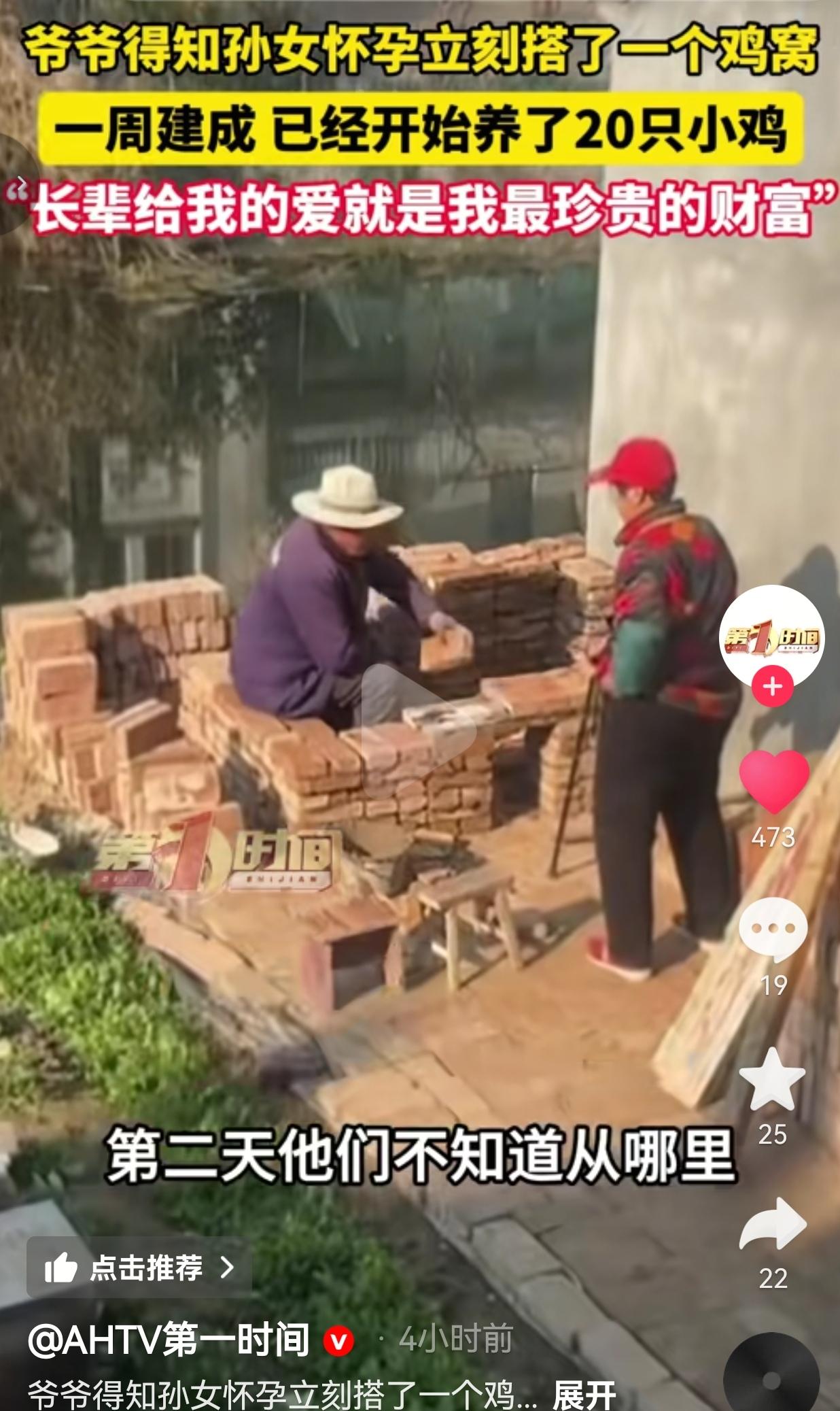 孙女刚怀孕，江苏爷爷亲手砌“豪华鸡窝”，7天之后，直接养20只小鸡。网友：这才是