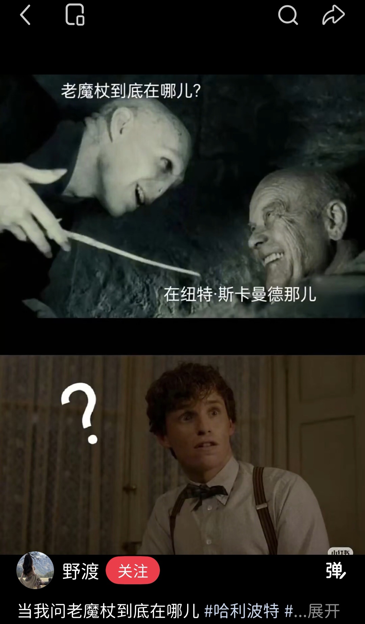 啥玩意笑死我​​​