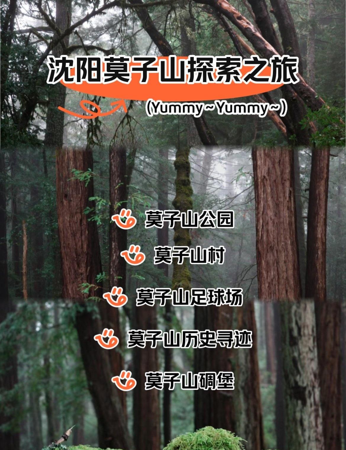 莫子山公园位于浑南区，是春日徒步赏花的理想去处。推荐从东门进入，沿主路前行至中央