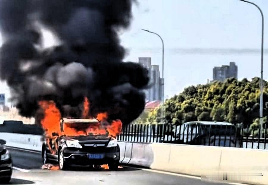 沪闵高架火光冲天SUV自燃疑云密布车主记录成关键今天中午路过徐家汇，人刚