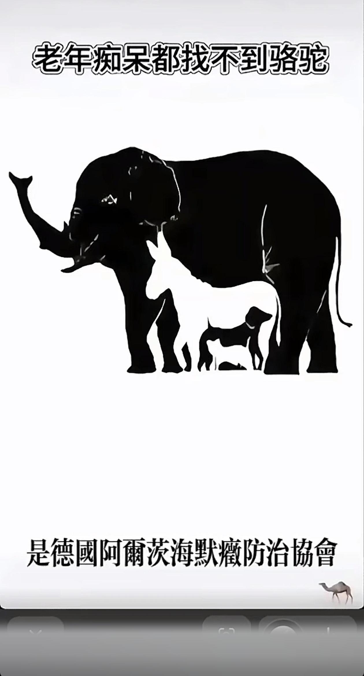 🐪你敢信？这张号称“老年痴呆都找不到骆驼”的图，其实是个彻头彻尾的“钓鱼”梗