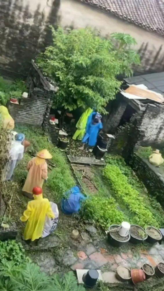 佛山网友展现自家院子被“硬核”消杀后的情况：原本的菜地全部被水泥封住。根据广东
