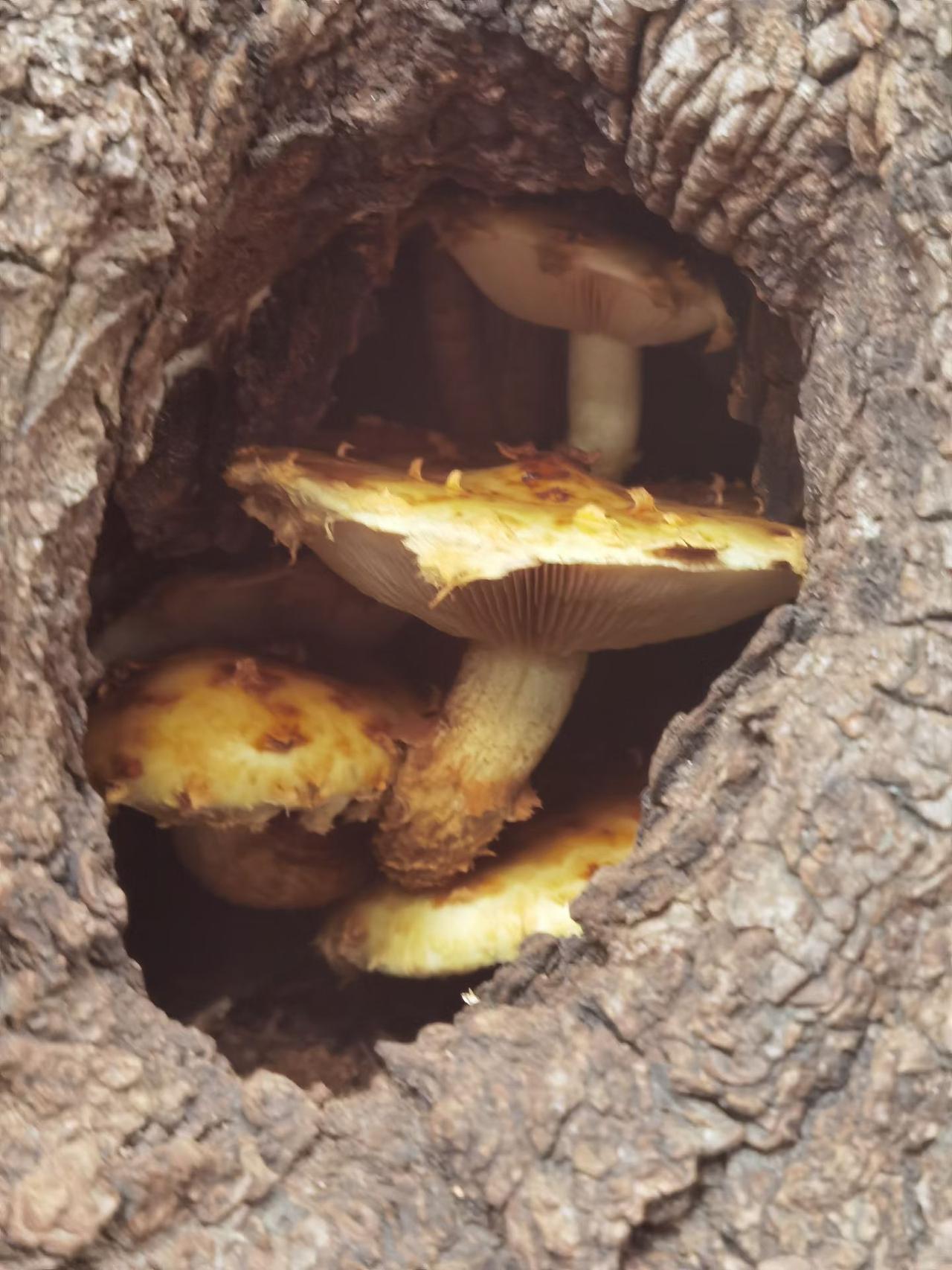 有人说：“凡是长寿老人大多比较自私，顾自己，不太操心子女的死活，只关心自己活得好