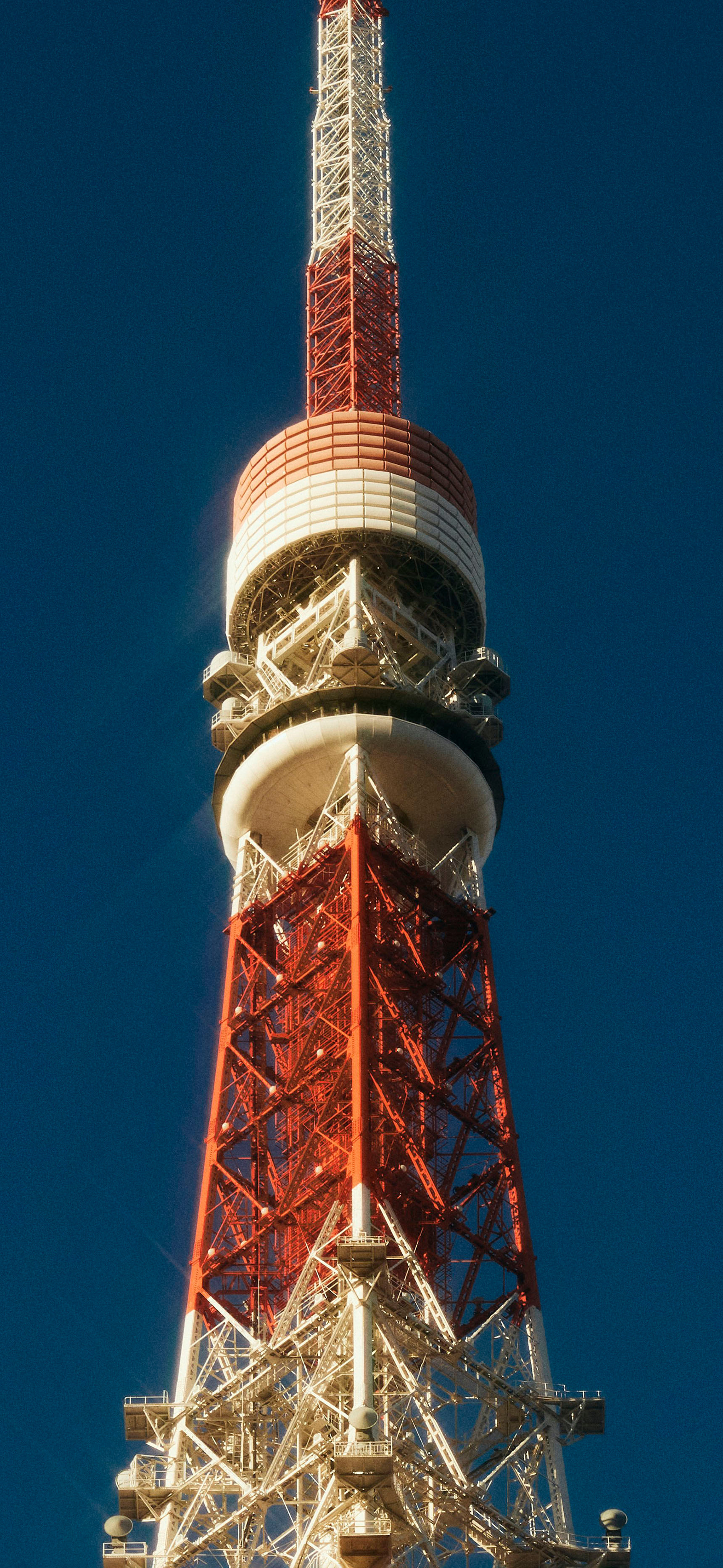 莱分享今日iPhone壁纸分享