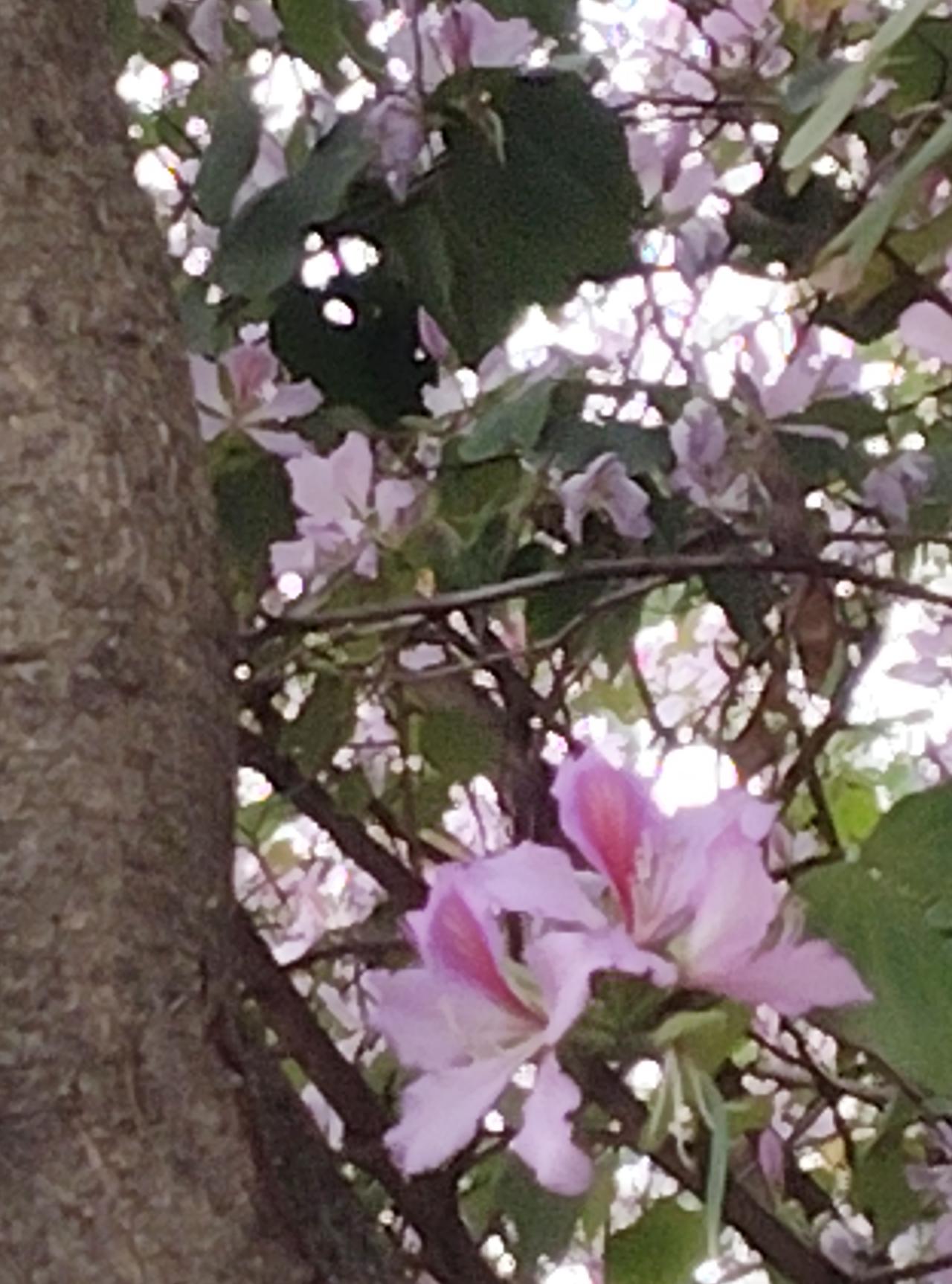 我今天才知道农历三月初三原来还有这些禁忌。今天上午妈妈打电话跟我说：“明天是农历