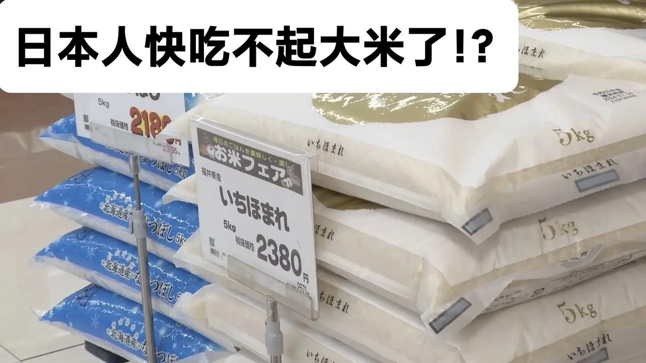 日本大米危机：政策失效与结构性矛盾的爆发前言2025年2月，日本5公斤装大米