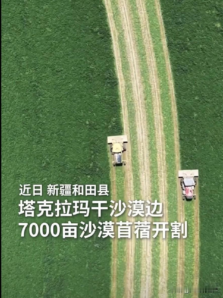 谁能想到！死亡沙漠边上，竟长出万亩翡翠绿真的被新疆狠狠震撼到了😭塔