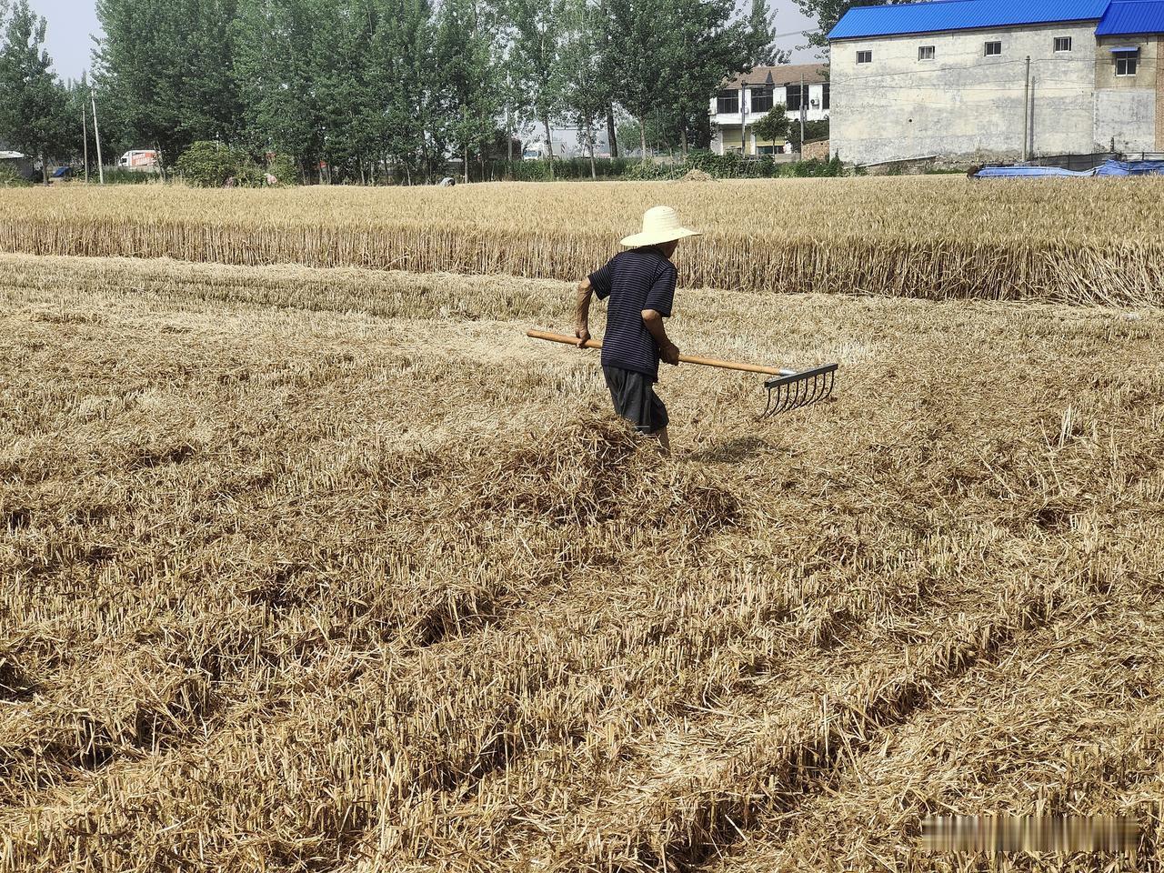 玉米播种前需不需要深耕整地?玉米播种前要不要深耕整地，一般要看两个方面。如果种小
