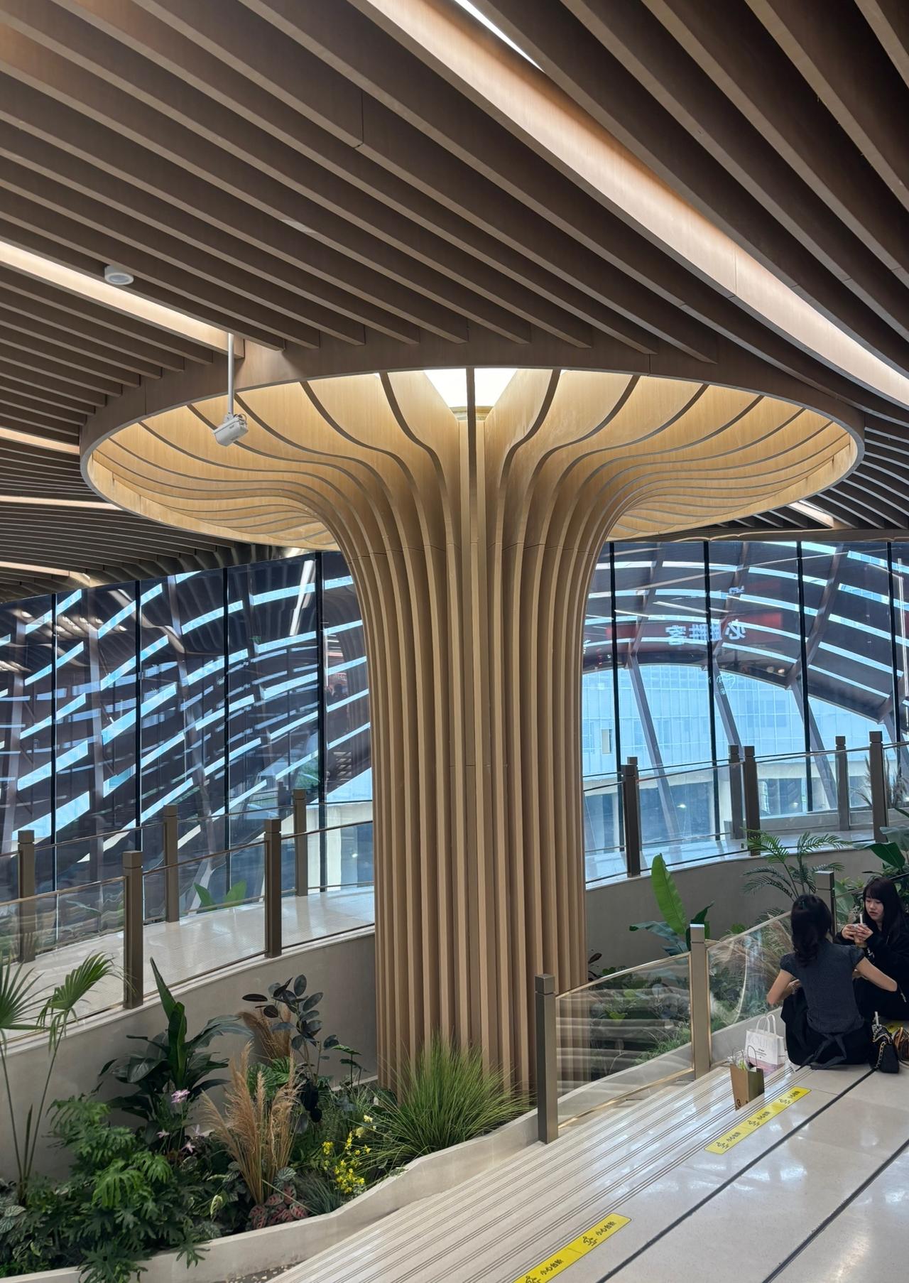初中学习千万不要太卷，要卷就去高中卷，因为初中卷没什么用，还有很多坏处，初中就完