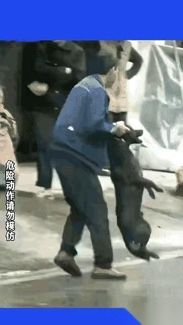 一段5月29号的监控，把很多人看压抑了。画面里，一条没拴绳的大狗，毫无征兆，扑