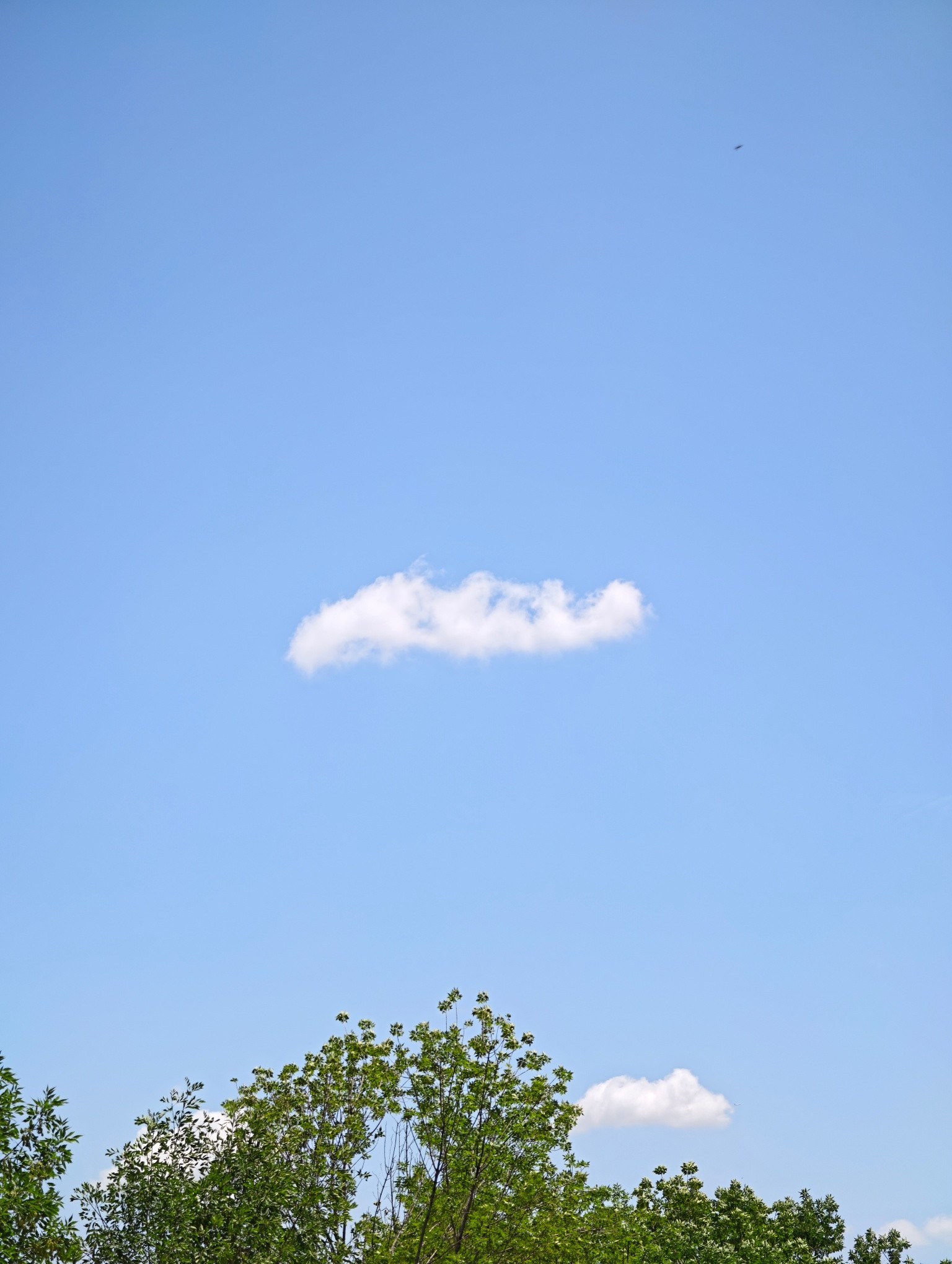 今天天气真好好像活在了动漫里​​​