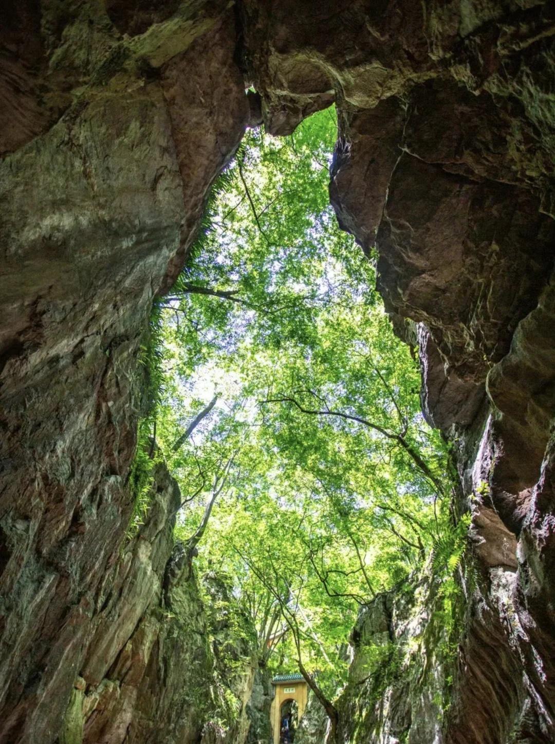 🚇地铁直达！八分山轻徒步超治愈武汉八分山位于江夏区纸坊街道，海拔272.3米