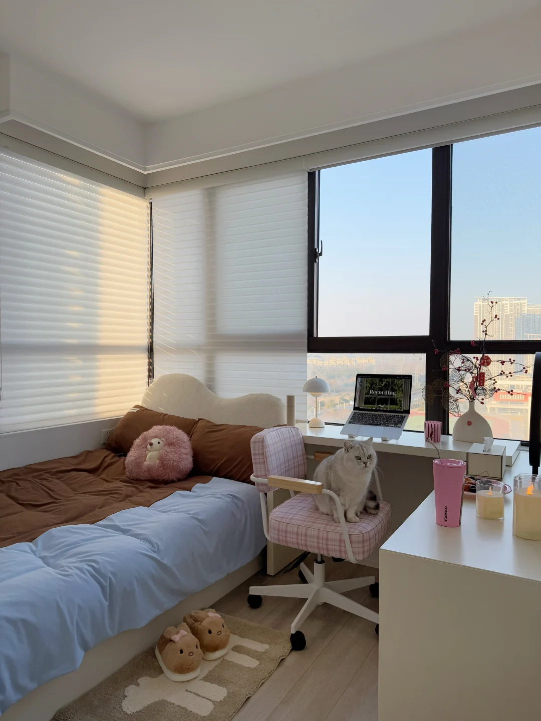 9m²小卧室｜和猫一起住，真的好喜欢🧸💫～