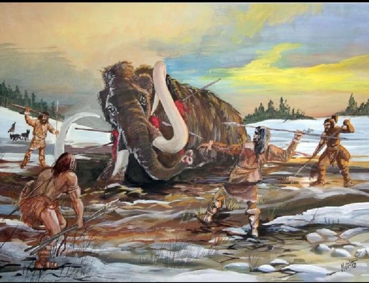 最新考古发现显示，直到5万年前，我们的祖先，才拥有大规模集体狩猎的能力。这一转变