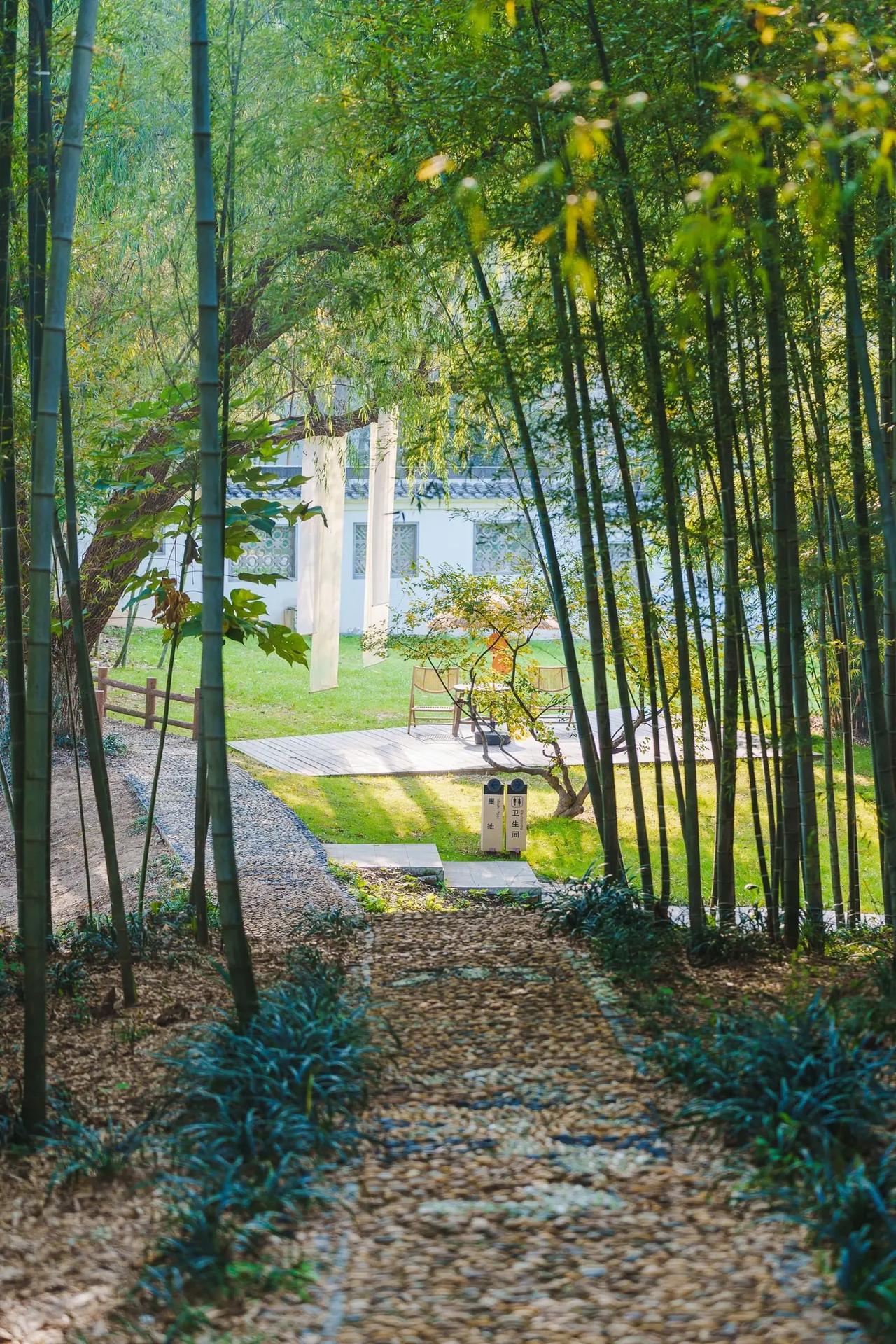 没想到南京还有这么静谧的地方