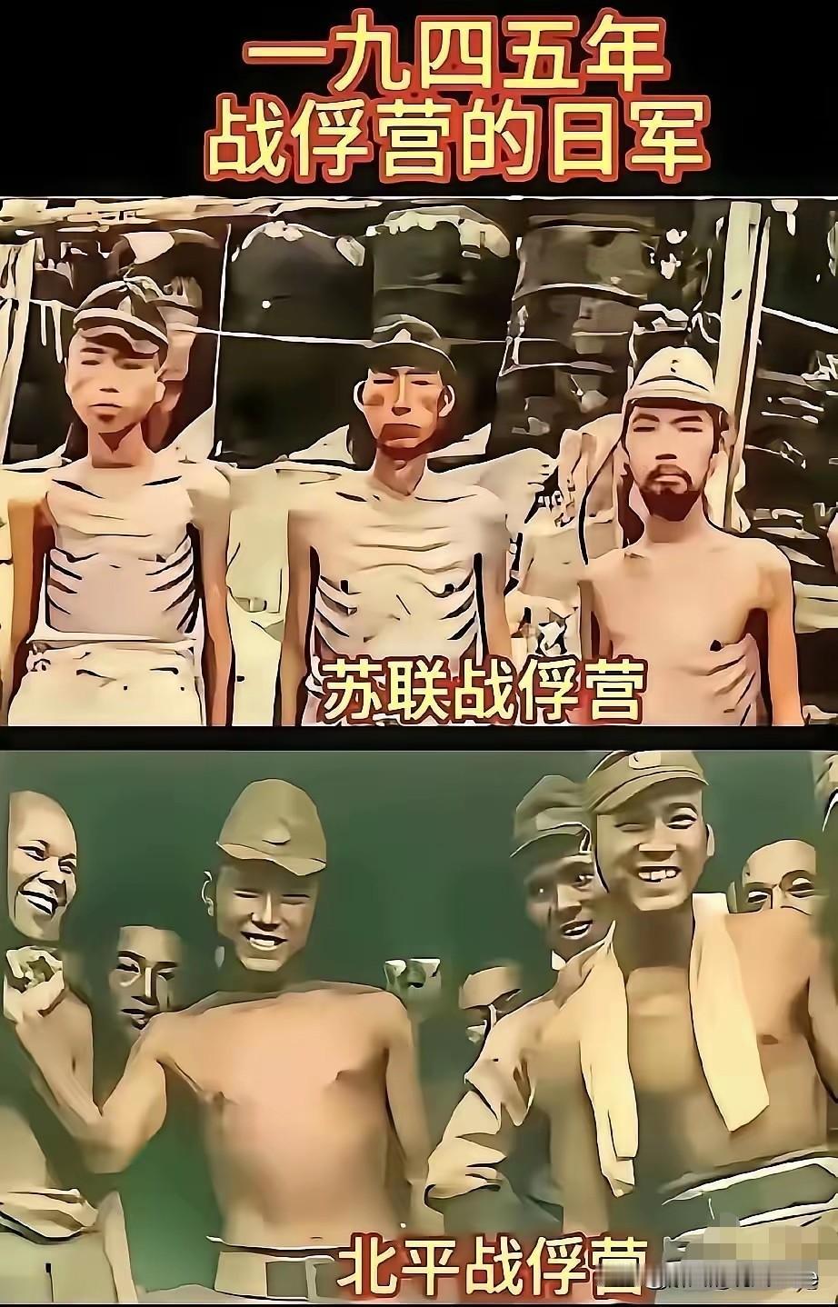 没有对比，就没有伤害。瞧瞧前苏联战俘营里的日本俘虏，个个瘦骨嶙峋，眼神呆滞。正