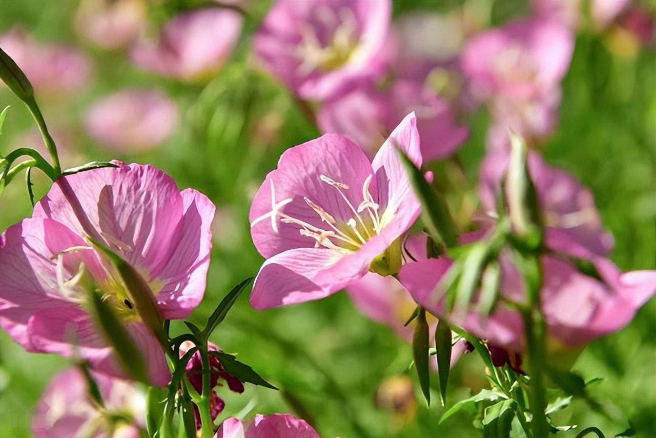成熟不是心变老，而是眼泪在眼眶里打转却依然微笑。时间是小偷他来时悄无声息，走后损