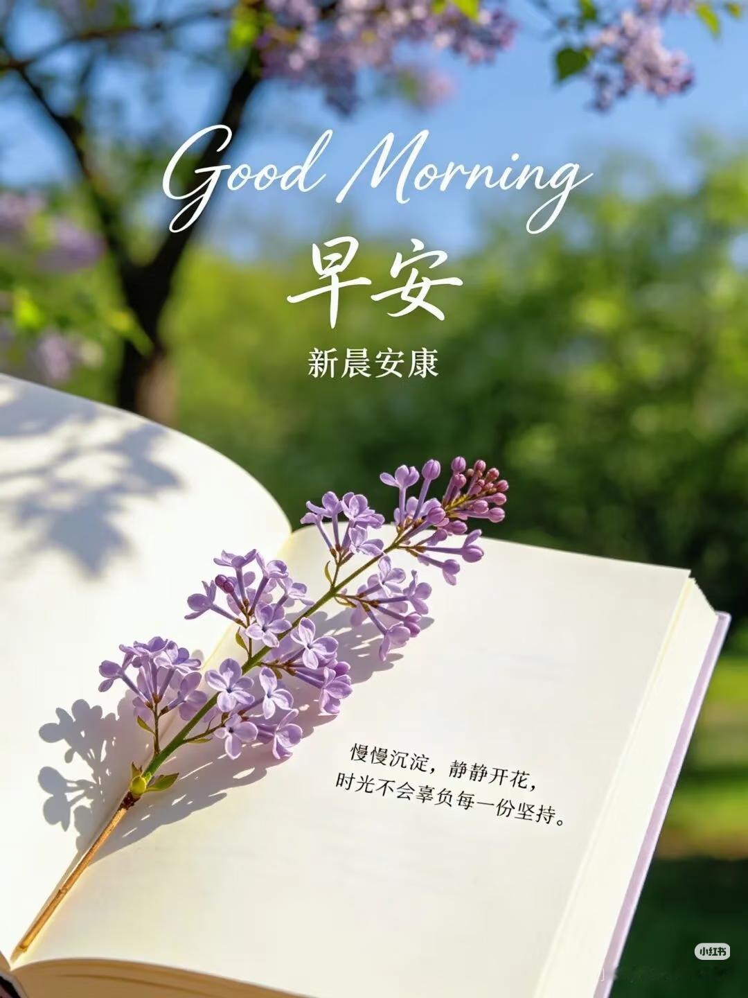 早上好！新的一周已然开启，愿诸位都能怀揣一份好心情，热情拥抱生活！闲暇之时，不