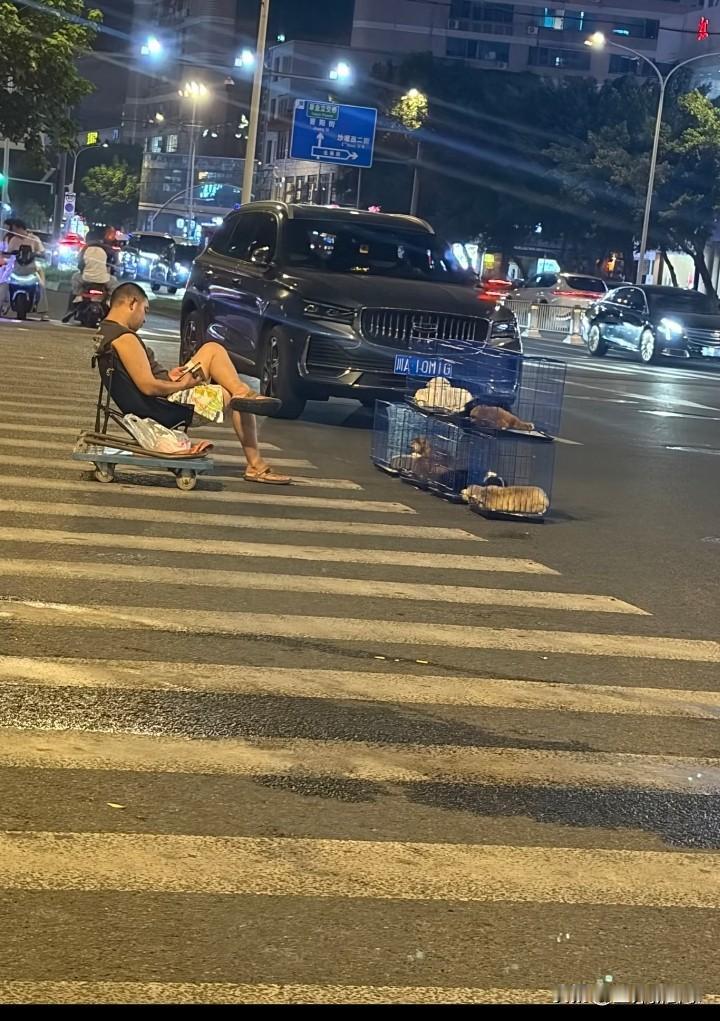 这个大哥这样停车摆摊是不是还不会扣分…