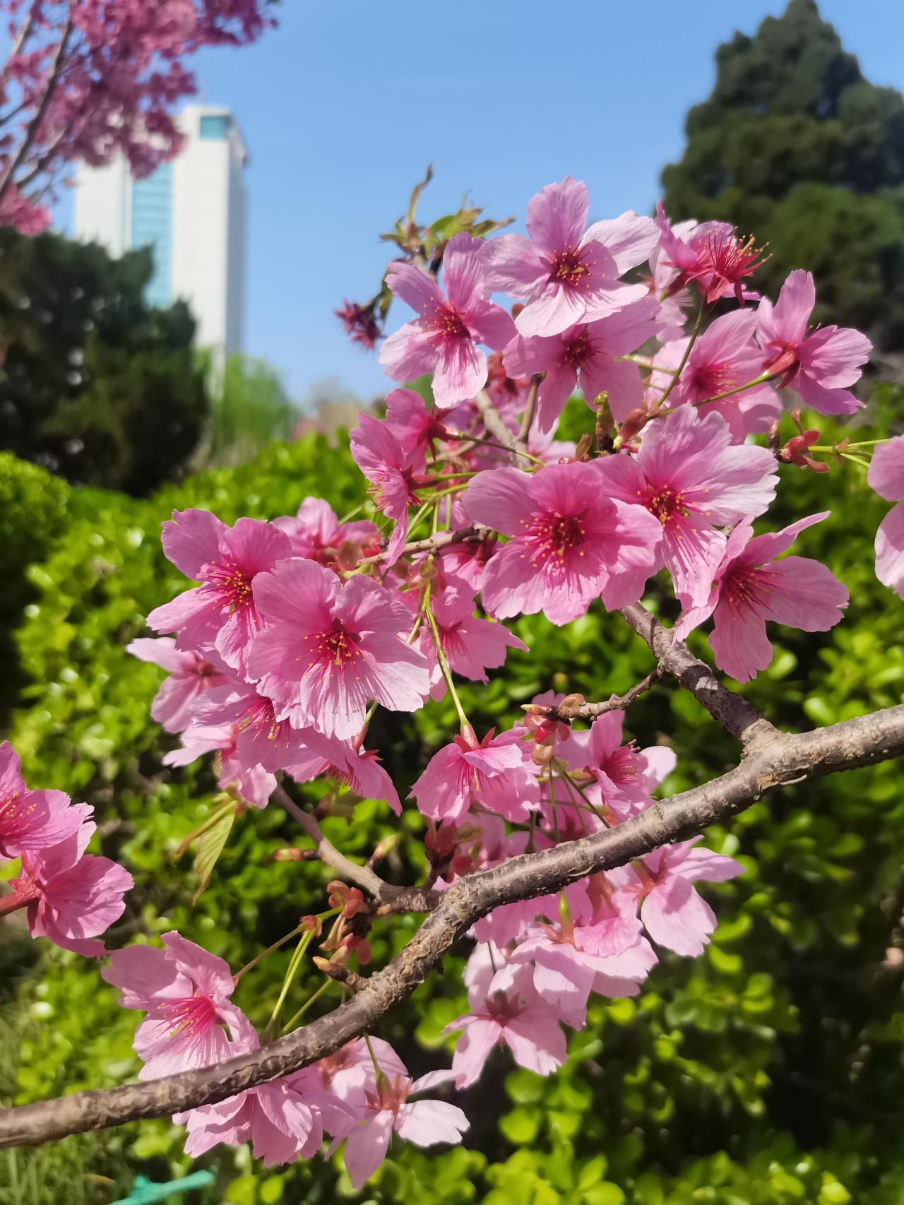 说个身边的事。前阵子，邻居张叔生病住院，他儿子到处打电话借钱。平时称兄道弟的