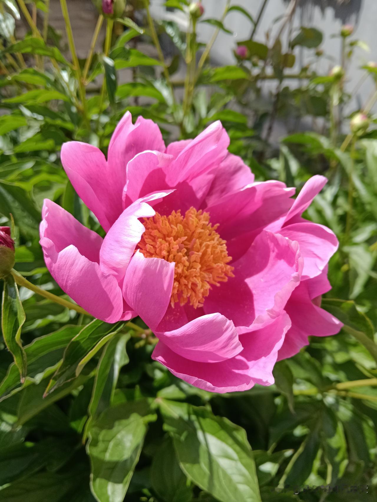 1、一生富贵：初七、十三、二十九出生。2、福寿都有：初七、十一、二十五出生。