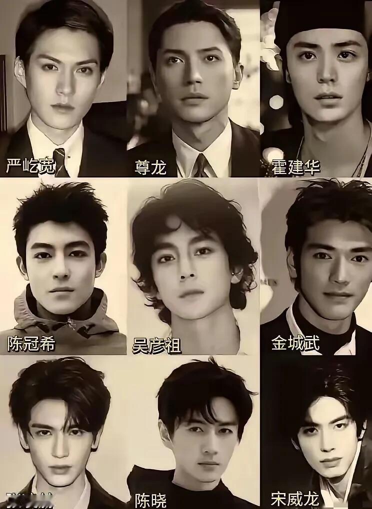 这几位男明星里，最帅的一位是金城武，他和尊龙、周里京、唐国强一样都是帅哥浓眉大眼