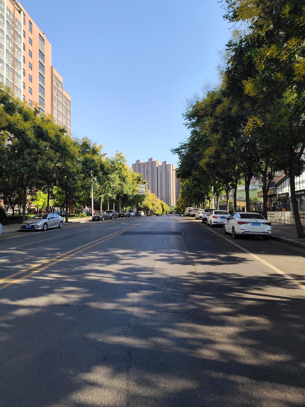 明明都出伏了，这“秋老虎”怎么还赖着不走？这几天走在西安街头，太阳晒在身上火辣辣