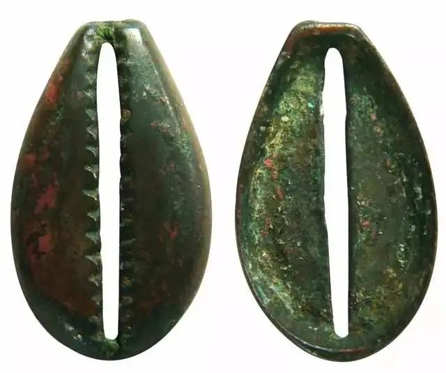 1971年保德县农家女孩小丽和往常一样在田间嬉戏，突然一条大蟒窜出，把小丽吓得连